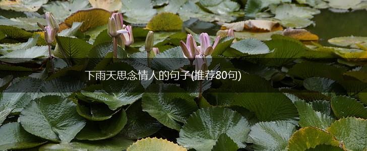 下雨天思念情人的句子(推荐80句),第1张