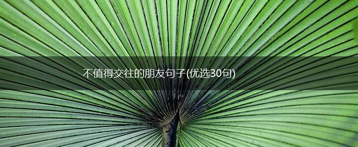 不值得交往的朋友句子(优选30句),第1张