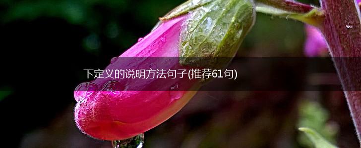 下定义的说明方法句子(推荐61句),第1张