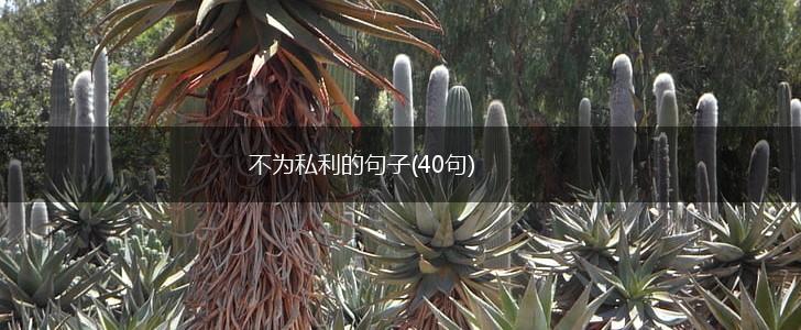 不为私利的句子(40句),第1张