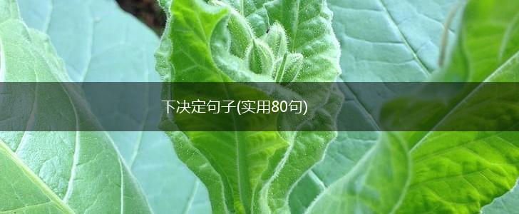 下决定句子(实用80句),第1张