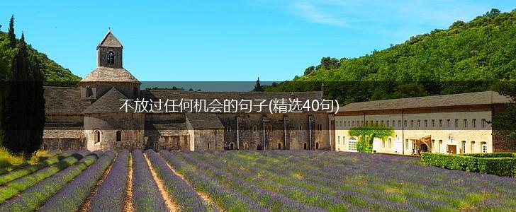 不放过任何机会的句子(精选40句),第1张