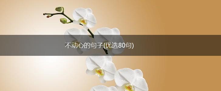 不动心的句子(优选80句),第1张