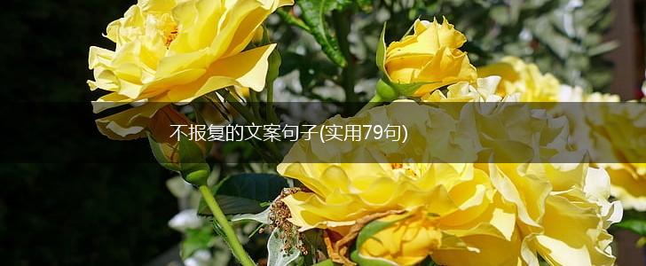 不报复的文案句子(实用79句),第1张
