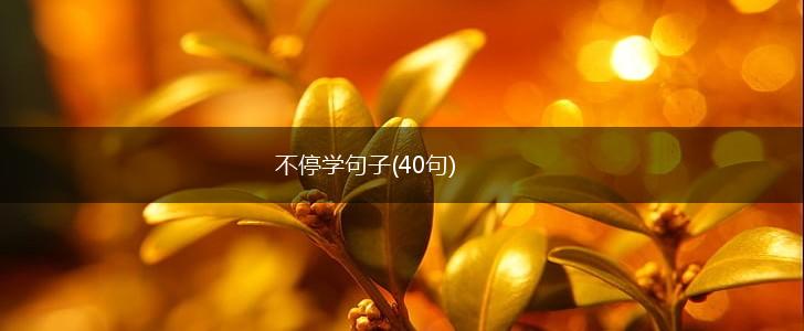 不停学句子(40句),第1张