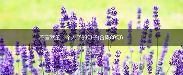 不喜欢的一个人了的句子(合集80句),第1张