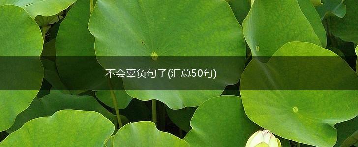 不会辜负句子(汇总50句),第1张