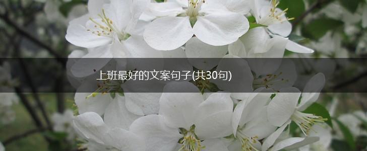 上班最好的文案句子(共30句),第1张