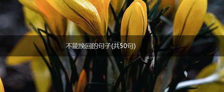 不能挽回的句子(共50句),第1张