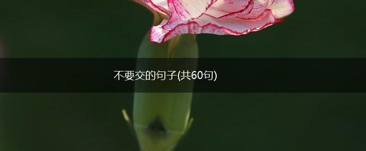 不要交的句子(共60句),第1张