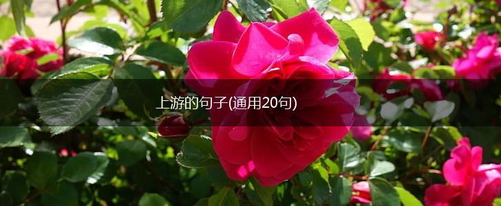 上游的句子(通用20句),第1张
