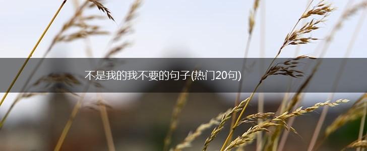 不是我的我不要的句子(热门20句),第1张