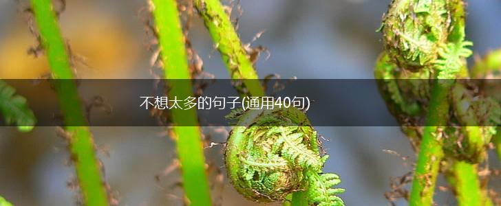 不想太多的句子(通用40句),第1张