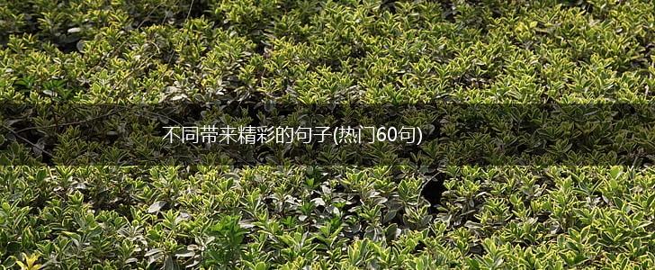不同带来精彩的句子(热门60句),第1张