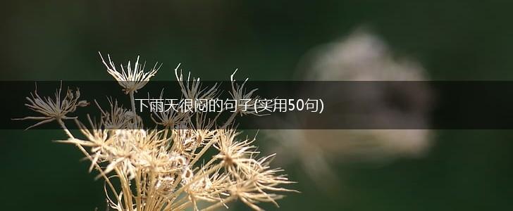 下雨天很闷的句子(实用50句),第1张