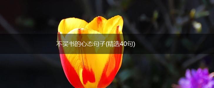 不买书的心态句子(精选40句),第1张