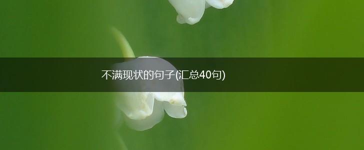 不满现状的句子(汇总40句),第1张