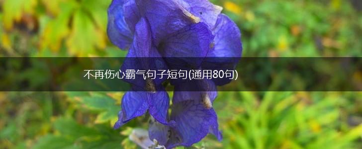 不再伤心霸气句子短句(通用80句),第1张