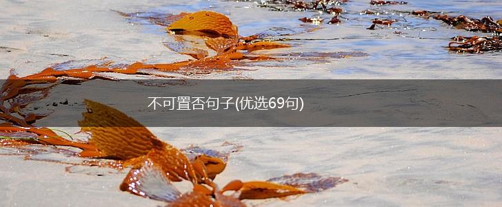 不可置否句子(优选69句),第1张
