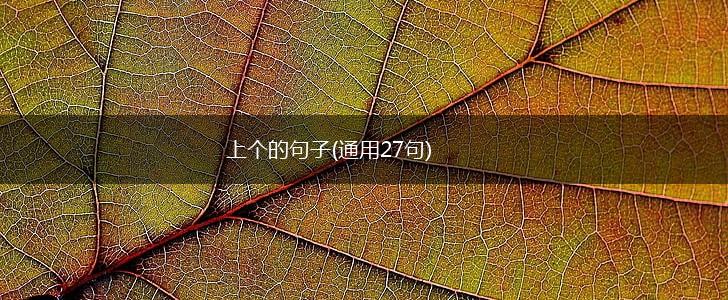 上个的句子(通用27句),第1张