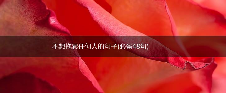 不想拖累任何人的句子(必备48句),第1张