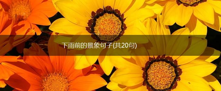 下雨前的景象句子(共20句),第1张