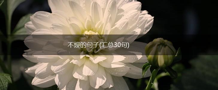 不燥的句子(汇总30句),第1张
