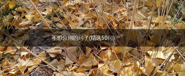 不想分别的句子(精选50句),第1张