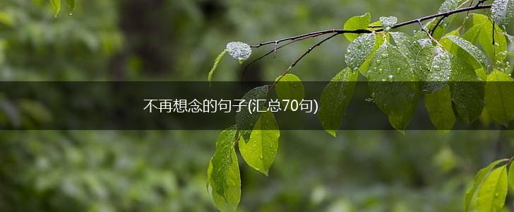 不再想念的句子(汇总70句),第1张