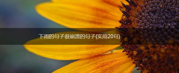 下雨的句子很崩溃的句子(实用20句),第1张