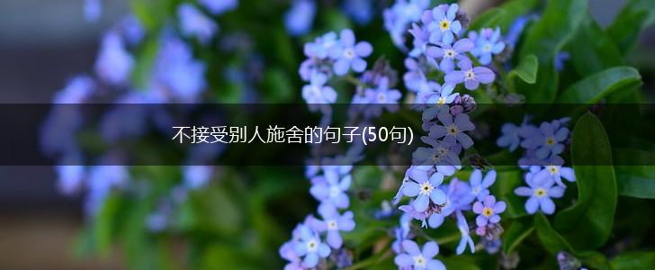 不接受别人施舍的句子(50句),第1张