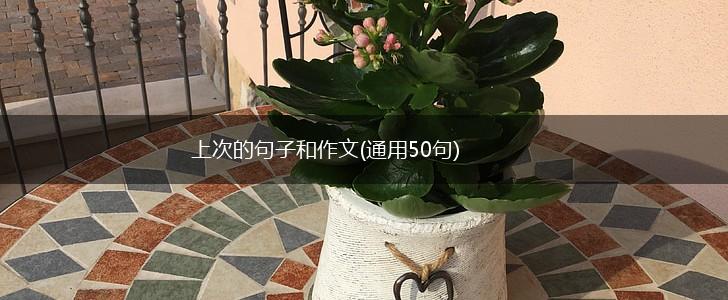 上次的句子和作文(通用50句),第1张