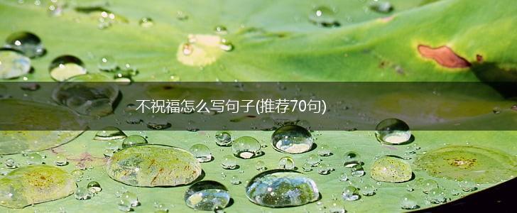 不祝福怎么写句子(推荐70句),第1张