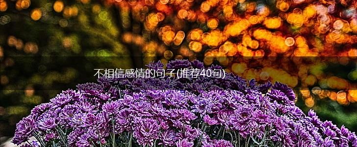 不相信感情的句子(推荐40句),第1张