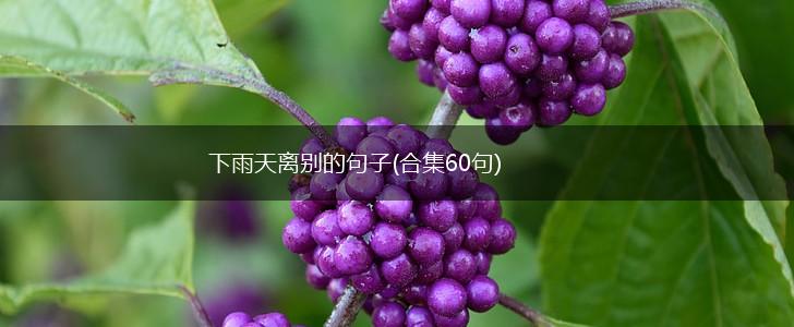 下雨天离别的句子(合集60句),第1张