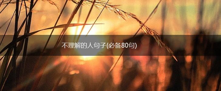 不理解的人句子(必备80句),第1张