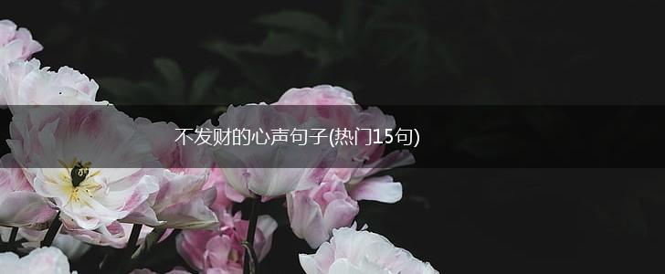 不发财的心声句子(热门15句),第1张