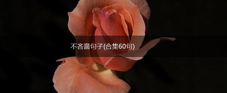 不吝啬句子(合集60句),第1张