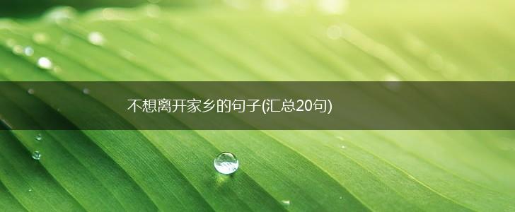 不想离开家乡的句子(汇总20句),第1张