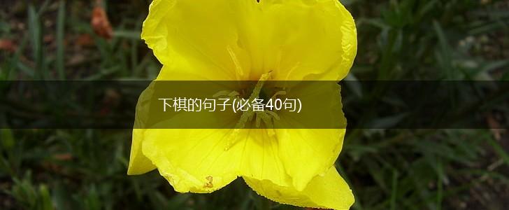 下棋的句子(必备40句),第1张