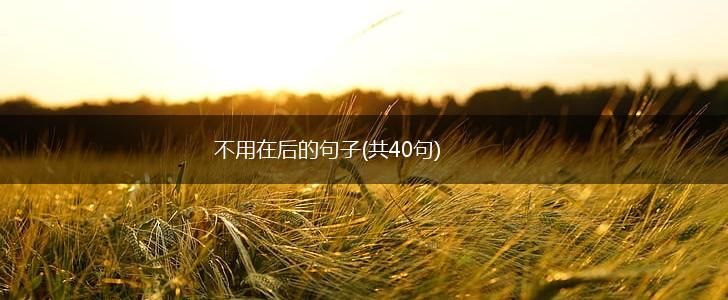 不用在后的句子(共40句),第1张