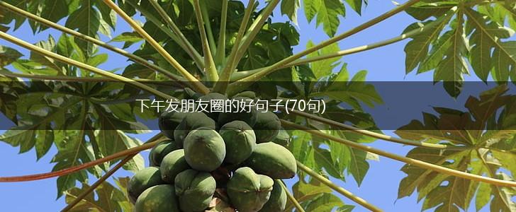 下午发朋友圈的好句子(70句),第1张