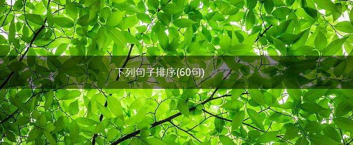 下列句子排序(60句),第1张