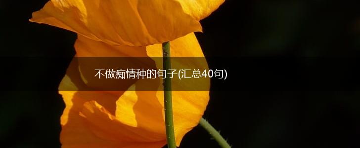 不做痴情种的句子(汇总40句),第1张
