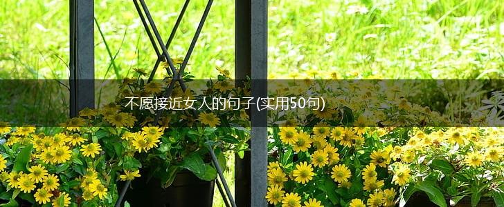 不愿接近女人的句子(实用50句),第1张