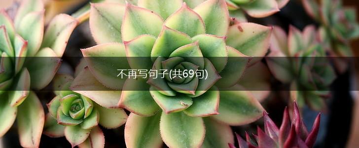 不再写句子(共69句),第1张