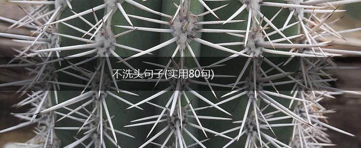 不洗头句子(实用80句),第1张