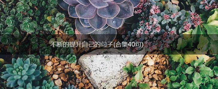 不断的提升自己的句子(合集40句),第1张