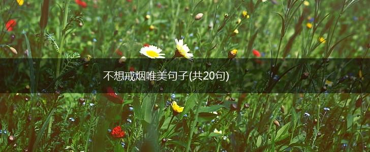 不想戒烟唯美句子(共20句),第1张
