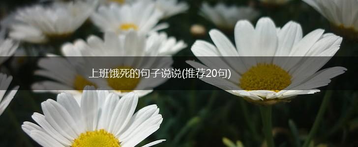 上班饿死的句子说说(推荐20句),第1张